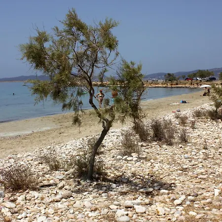 アパート Lydia's East *